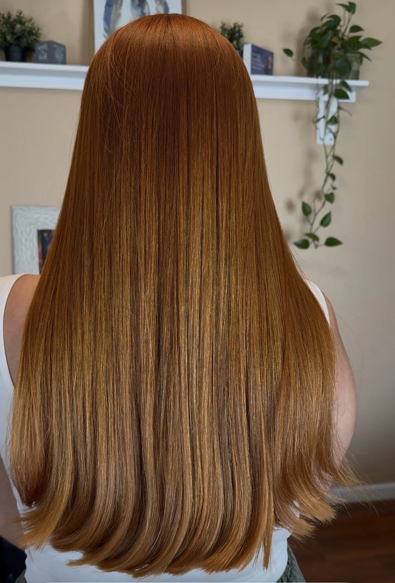 Cabelo liso longo em tom acobreado, fotografia da pasta de fotos compartilhada